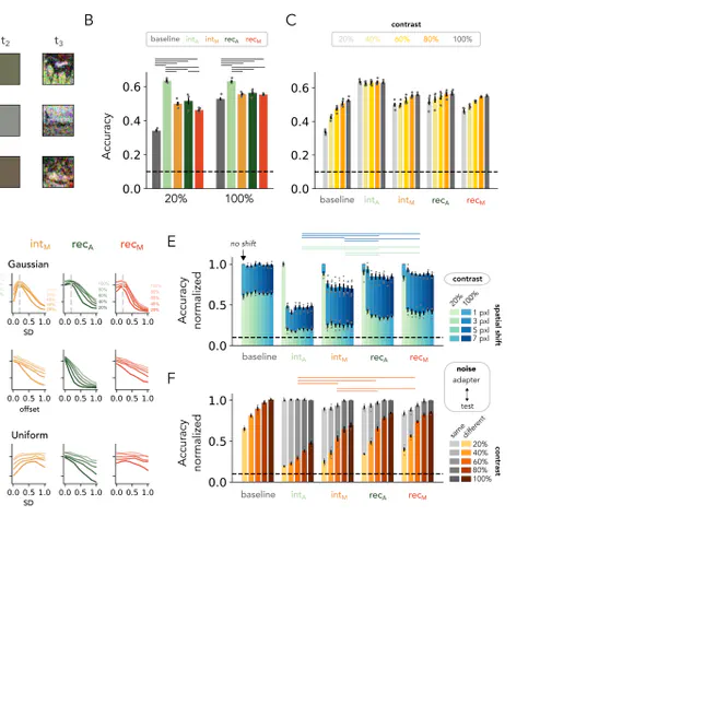 Temporal adaptation aids object recognition in deep convolutional neural networks in suboptimal viewing scenario's
